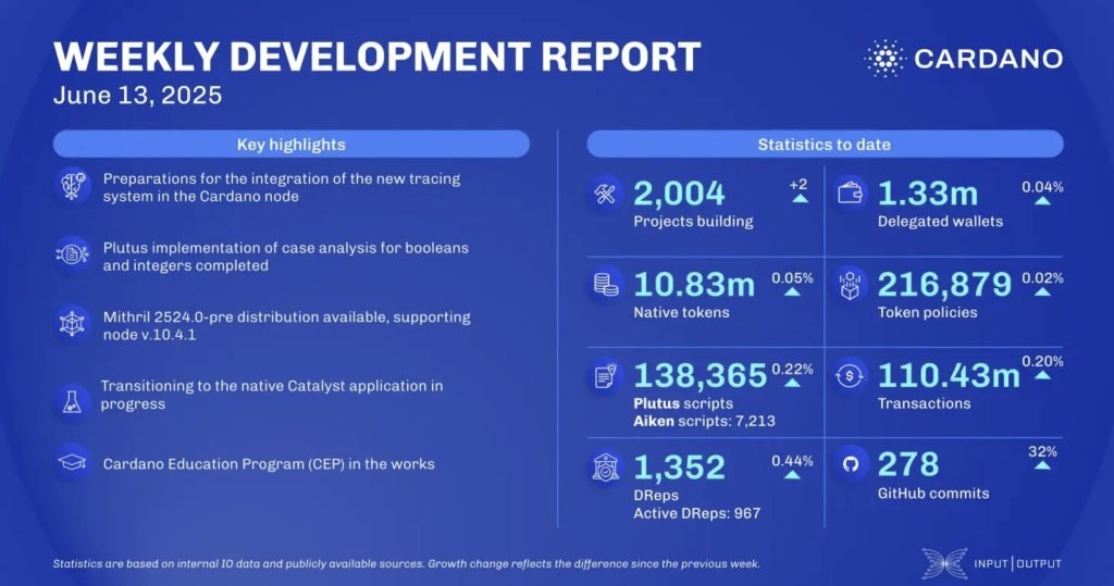 cardano network stats